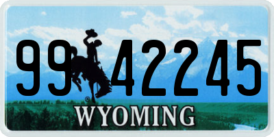 WY license plate 9942245