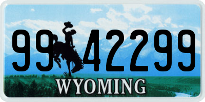 WY license plate 9942299