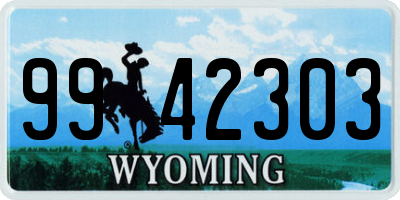 WY license plate 9942303