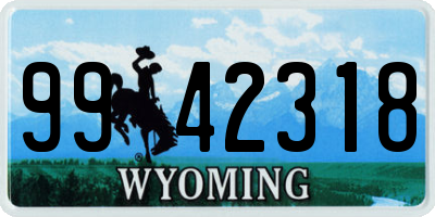 WY license plate 9942318