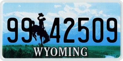 WY license plate 9942509