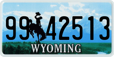 WY license plate 9942513