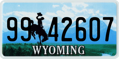 WY license plate 9942607