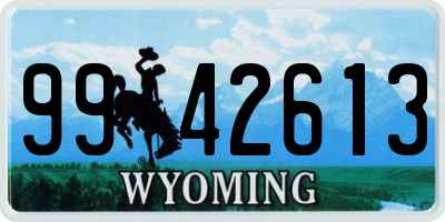 WY license plate 9942613
