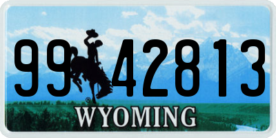 WY license plate 9942813