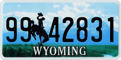 WY license plate 9942831