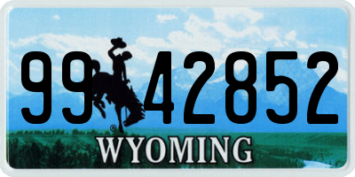 WY license plate 9942852
