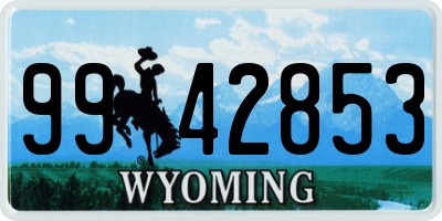 WY license plate 9942853