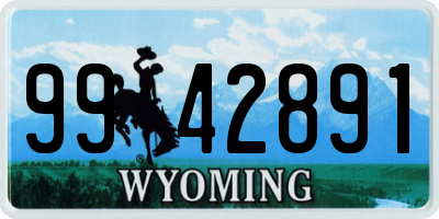 WY license plate 9942891