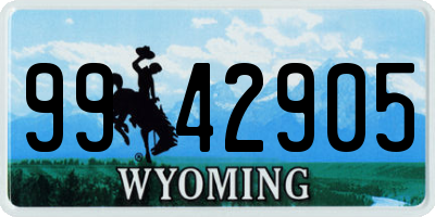 WY license plate 9942905
