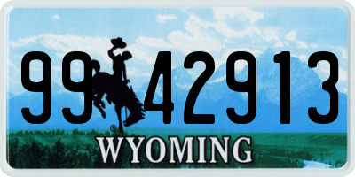WY license plate 9942913