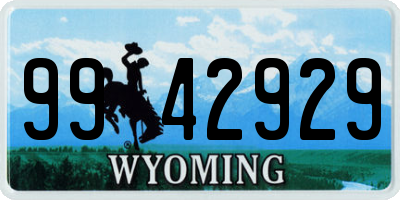 WY license plate 9942929