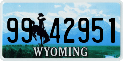 WY license plate 9942951