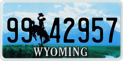 WY license plate 9942957