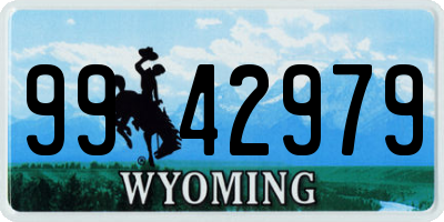 WY license plate 9942979