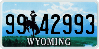 WY license plate 9942993