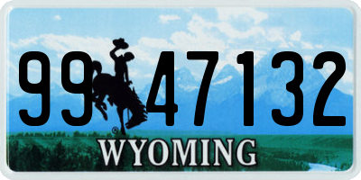 WY license plate 9947132