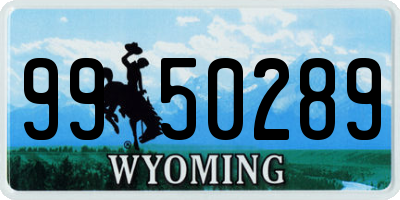 WY license plate 9950289