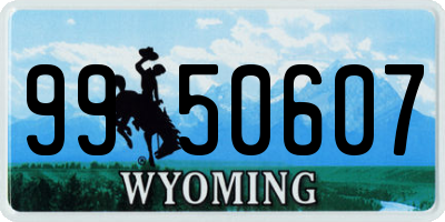 WY license plate 9950607