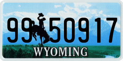 WY license plate 9950917