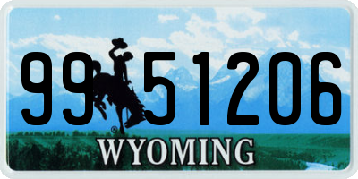 WY license plate 9951206