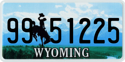 WY license plate 9951225