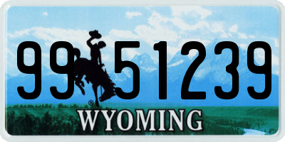 WY license plate 9951239