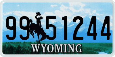 WY license plate 9951244