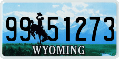 WY license plate 9951273