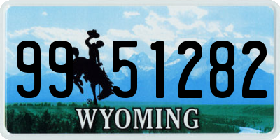 WY license plate 9951282