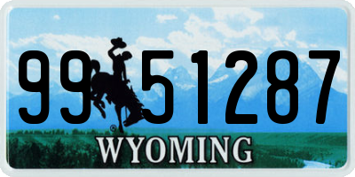 WY license plate 9951287