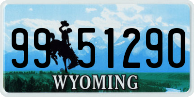 WY license plate 9951290