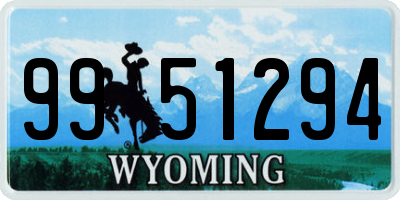 WY license plate 9951294