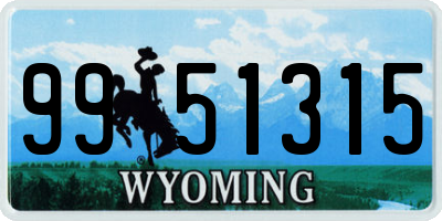 WY license plate 9951315