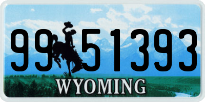 WY license plate 9951393
