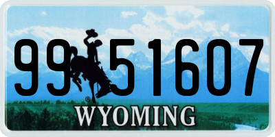WY license plate 9951607