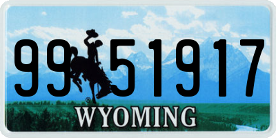 WY license plate 9951917