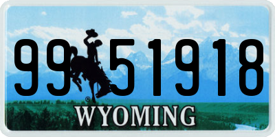 WY license plate 9951918