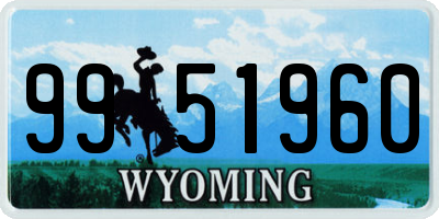 WY license plate 9951960