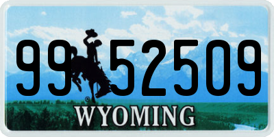 WY license plate 9952509
