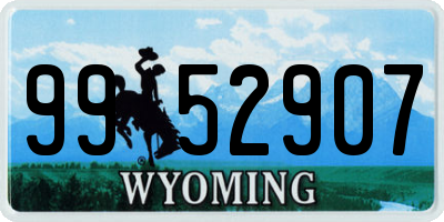 WY license plate 9952907