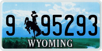 WY license plate 995293