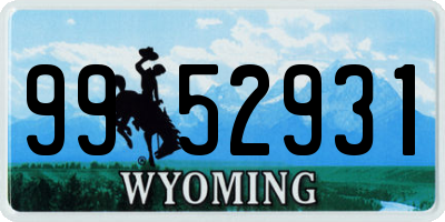 WY license plate 9952931