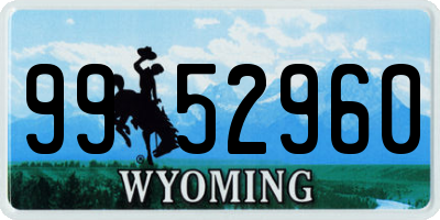 WY license plate 9952960