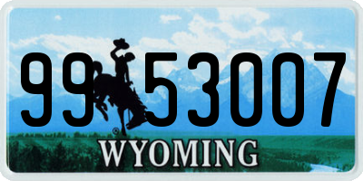 WY license plate 9953007