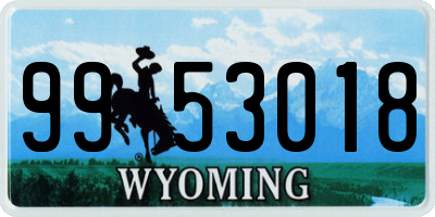 WY license plate 9953018