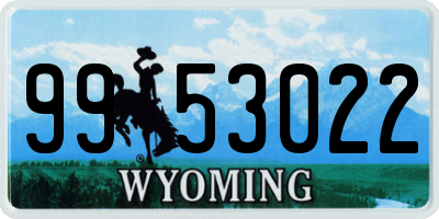 WY license plate 9953022
