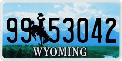 WY license plate 9953042
