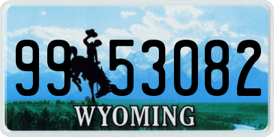 WY license plate 9953082