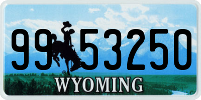 WY license plate 9953250